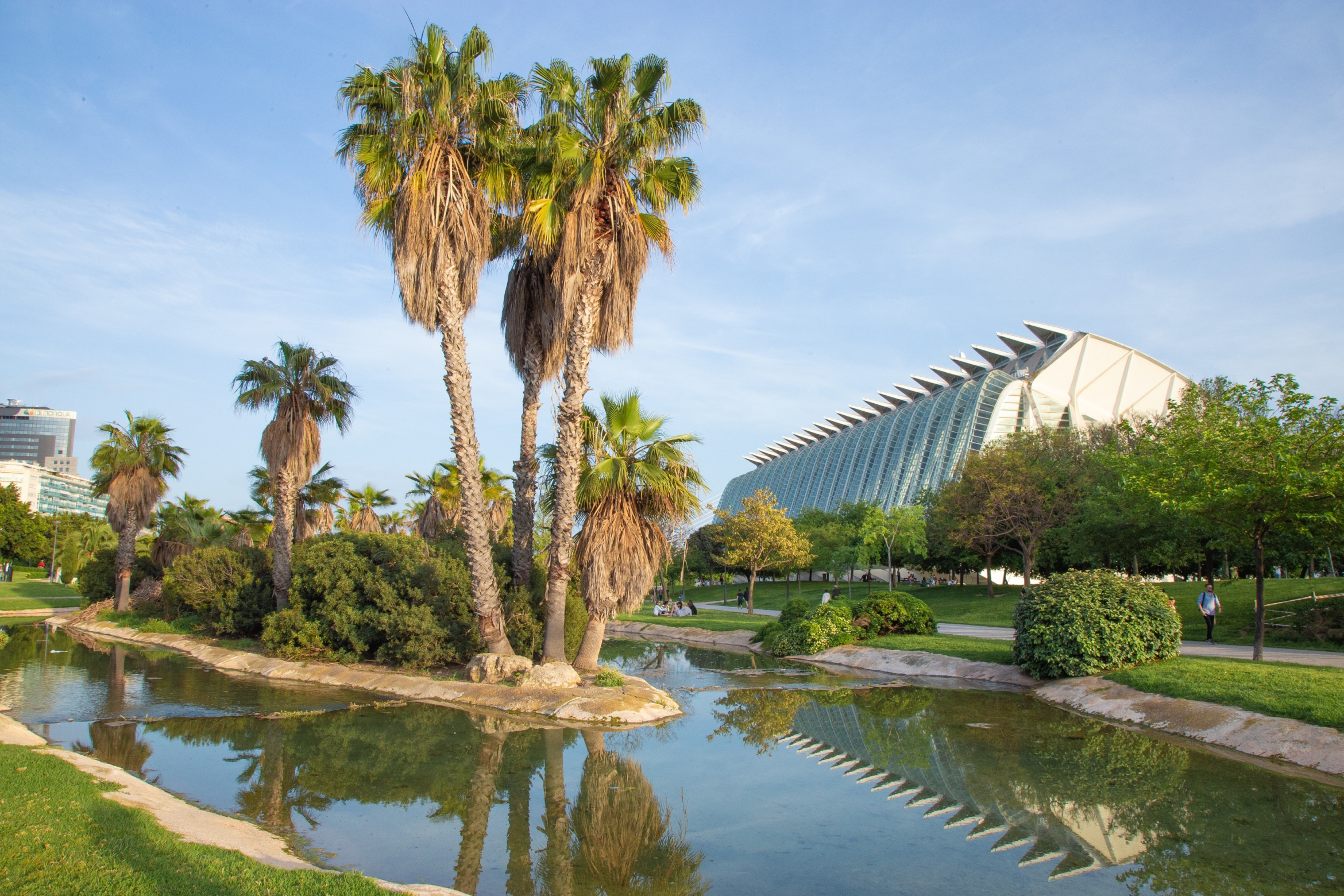 Museu de les Ciències in Valencia (Spanien); Detektei Valencia (Spanien), Privatdetektiv Valencia (Spanien), Wirtschaftsdetektei Valencia (Spanien), Detektivbüro Valencia (Spanien)
